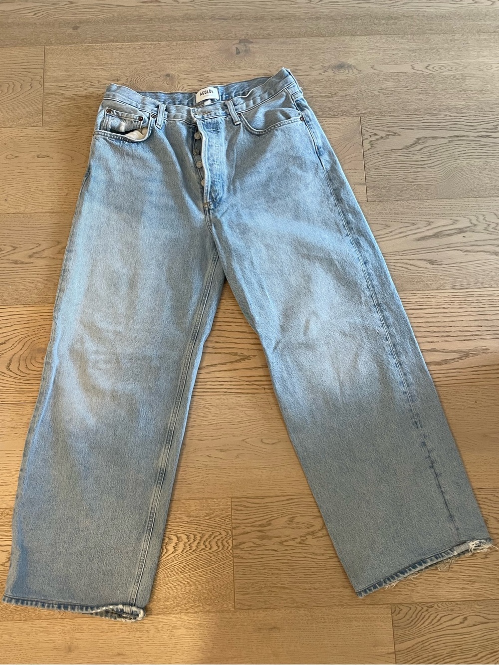 Agolde Low Slung Baggy Libertine Jeans